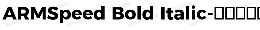 ARMSpeed Bold Italic字体转换